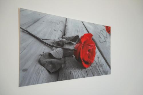 Fotografie z fotogalerie ubytování Piccola Orchidea v destinaci Musso