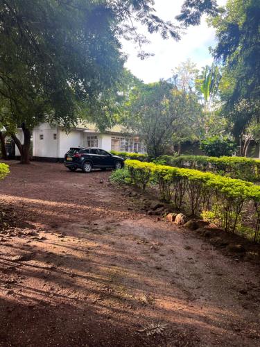Jardí fora de Nyani's hub
