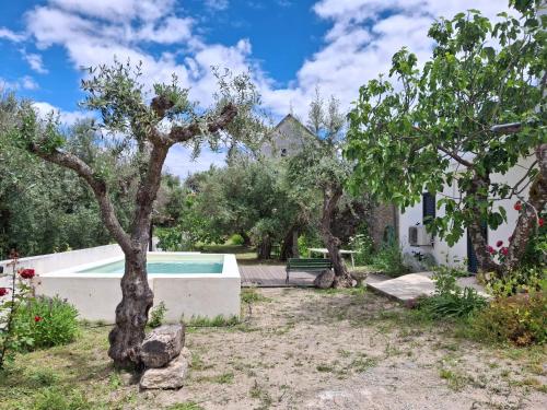 a house with a swimming pool in a yard with trees at Casa rústica com terraço e jardim in Águas
