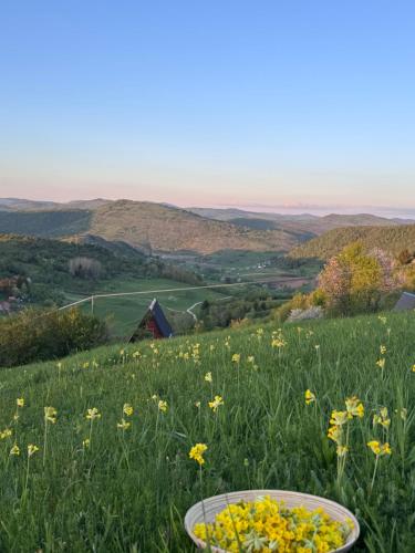 a bowl of flowers in a field of grass at Uvacki raj in Radijevići
