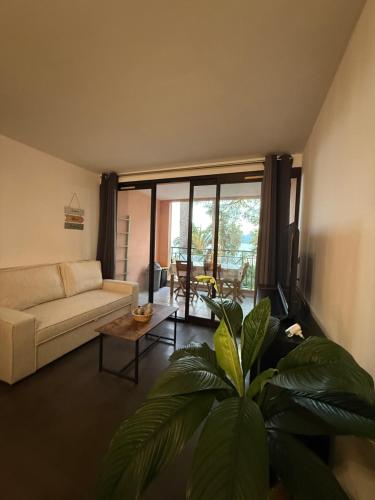 un salon avec un canapé et une plante dans l'établissement Vue Mer & Détente - Duplex 42m2 avec 2 Terraces, à Cannes