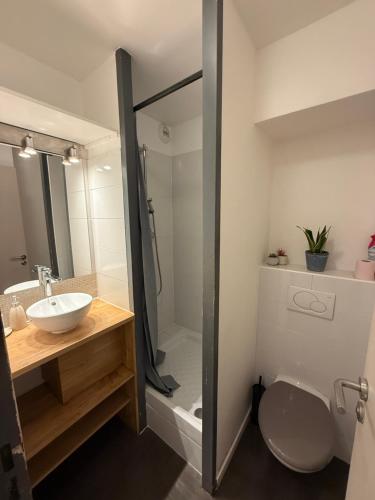une salle de bain avec une douche, un lavabo et des toilettes dans l'établissement Vue Mer & Détente - Duplex 42m2 avec 2 Terraces, à Cannes