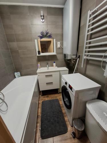 a bathroom with a washing machine and a sink at Levendula Apartman Bükkszentkereszt in Bükkszentkereszt