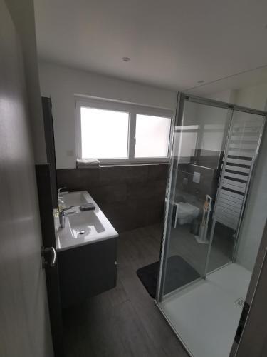 une salle de bain avec une douche en verre et un lavabo dans l'établissement Maison avec jardin proche Europa-Park Rulantica Strasbourg Colmar, à Rhinau