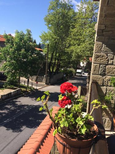 a pot of red flowers on a brick wall at Archontiko Tsiboni in Elati Trikalon