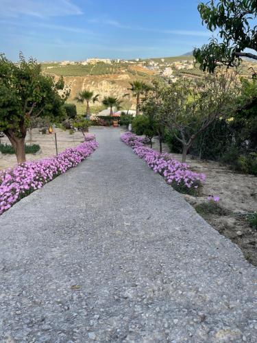 a walkway lined with purple flowers in a park at La casa de campo in Heraklio Town