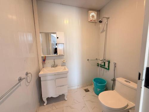 a bathroom with a sink and a toilet and a mirror at Dhan Valley Guest House in Bhaun