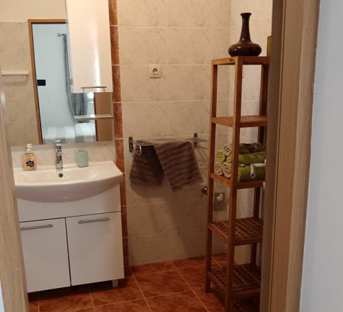 Kúpeľňa v ubytovaní Apartment Marijan - Rtina