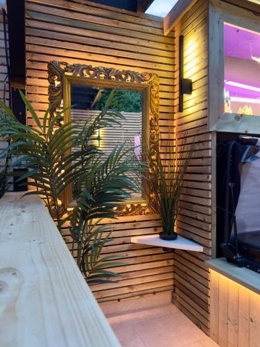 a mirror on the side of a wall with a plant at Stylish City Centre Hideaway & Private Hot Tub in Galway