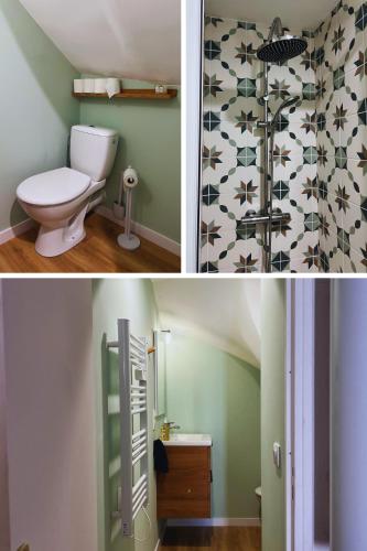 La salle de bains est pourvue de toilettes et d'un mur vert. dans l'établissement Le Sicile, à Lespignan