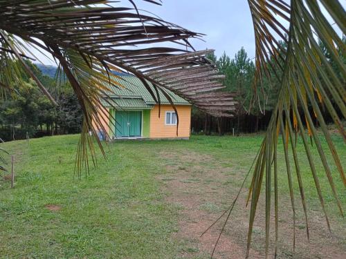 ein kleines Haus auf einem Feld mit einer Palme in der Unterkunft Casa das Palmeiras in Rio Forcação