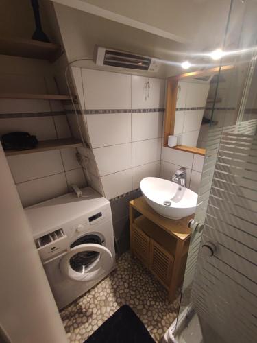 une petite salle de bains avec un lave-linge et un lavabo dans l'établissement Hyper centre les martelos, à Besançon