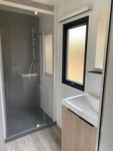 une salle de bain avec une douche, un lavabo et un miroir dans l'établissement Camping LE MOULIN DE CAUDON, à Domme