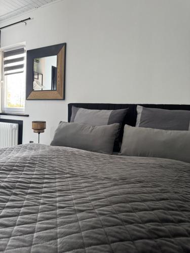 a bedroom with a large bed with a mirror at Ferienwohnung Grüne Auszeit Braunlage in Braunlage