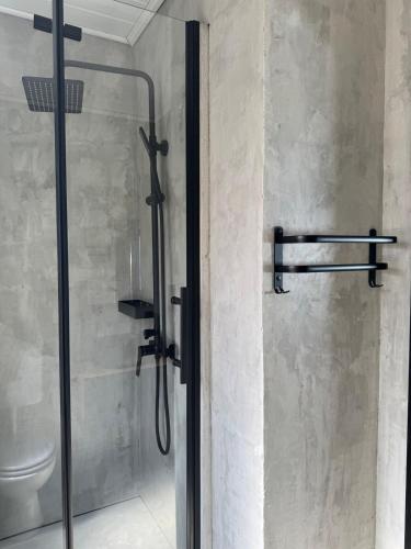 a shower stall in a bathroom with a toilet at Ferienwohnung Grüne Auszeit Braunlage in Braunlage