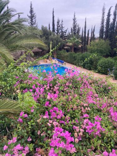 Κήπος έξω από το Magnifique villa piscine chauffée