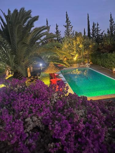 Πισίνα στο ή κοντά στο Magnifique villa piscine chauffée