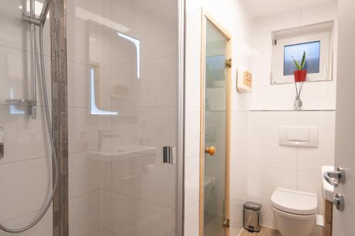 a bathroom with a shower and a toilet at Time4you am Bodensee mit Pool Sauna Kamin in Radolfzell am Bodensee