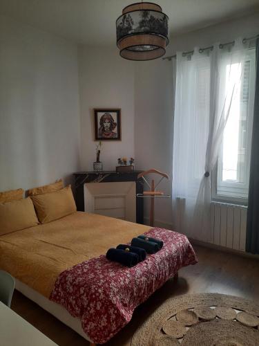 Logement COSY proche centre-ville - WiFi