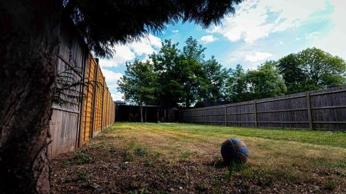 a ball sitting in a yard next to a fence at Modern, comfy 2 bedroom House in Hatfield, town centre, free parking, large garden in Hatfield