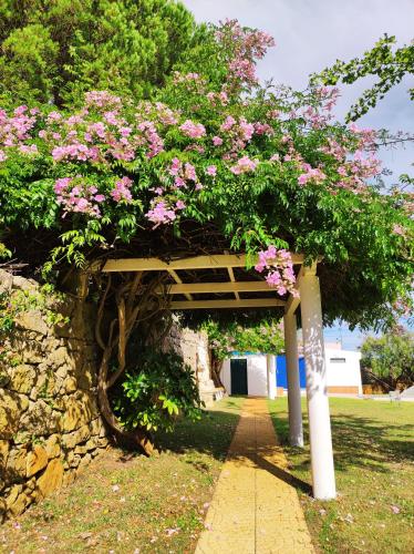 Taman di luar El Molino
