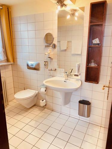 a bathroom with a sink and a toilet at Hotel - Restaurant Traube in Neuffen