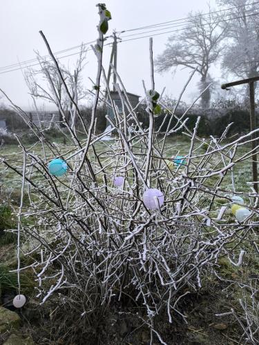 a bush with easter eggs on it in a field at La Bruyère - B & B - in Tréban