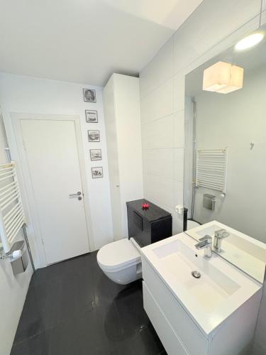 un bagno bianco con un water e un lavandino di Midnight Sun Apartment a Reykjavik