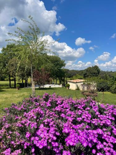 a field of purple flowers in a park at Más Figueres in Caldes de Malavella