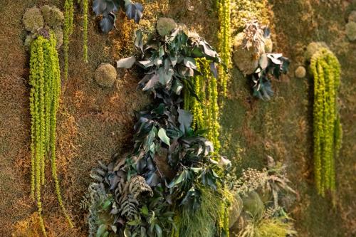 a plant growing on the side of a wall at Meg Lifestyle Hotel & Apartaments in Riccione