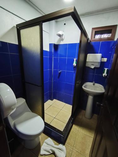 a bathroom with a shower and a toilet and a sink at Ávita Lodge in Quesada