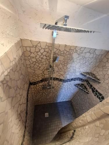a shower in a bathroom with a tile ceiling at Ferienwohnung Mühlenhof in Duderstadt
