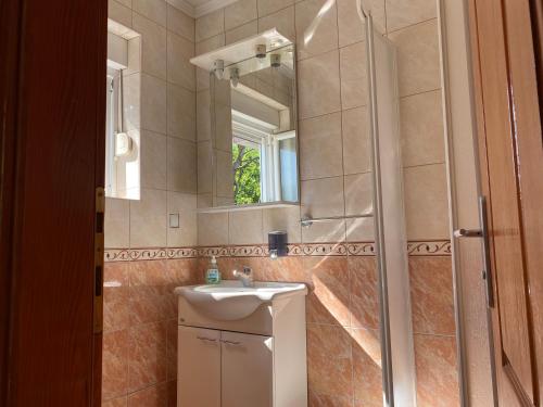 a bathroom with a sink and a mirror at Vila Ćorović in Kumbor