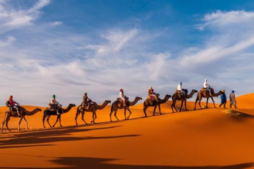 メルズーガにあるMerzouga Nomad Campの砂漠の馬に乗る人々