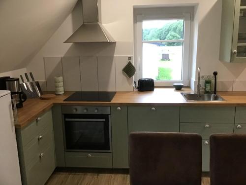 a kitchen with green cabinets and a sink and a window at Naturblick in Hennstedt