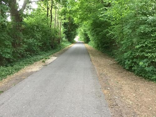 a dirt road with trees on both sides at Naturblick in Hennstedt