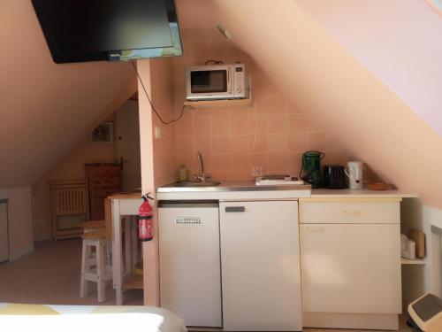 Studio charmant في فوسنان: مطبخ صغير مزود بحوض وميكروويف