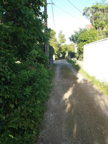 a dirt road with bushes on the side of it at Apartment Albert parking privé gratuit in Limoux