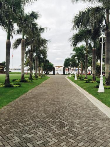 a cobblestone road with palm trees in a park at Apartment Heitiare in Papeete
