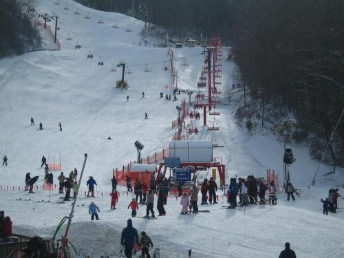 Ski di apartmen atau berdekatan