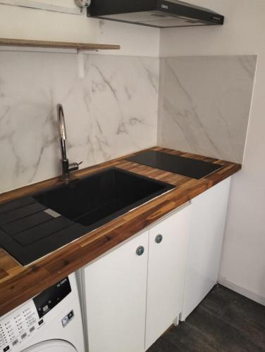une cuisine avec un évier et un plan de travail dans l'établissement Elysée 2, à La Celle-Saint-Cloud
