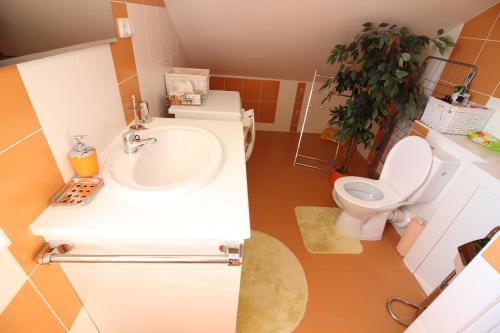 a bathroom with a sink and a toilet at Orange Loft Apartment in Kájov