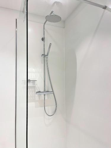 a shower in a bathroom with a glass door at Landhaus Jarnitz in Ralswiek