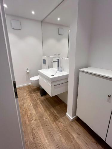 a bathroom with a sink and a toilet and a mirror at Landhaus Jarnitz in Ralswiek