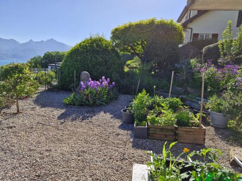 Gallery image of Roses & Nature in Saint-Gingolph