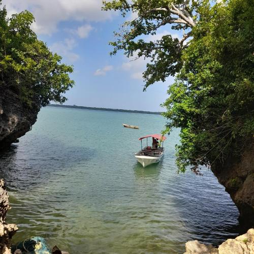 Landskap semula jadi dekat dengan chalet
