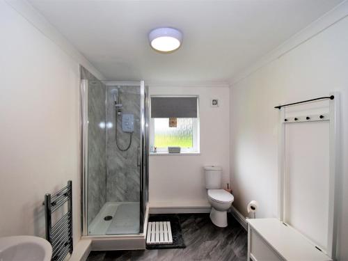 a bathroom with a shower and a toilet at 4 bed in Ousby 80541 in Ousby