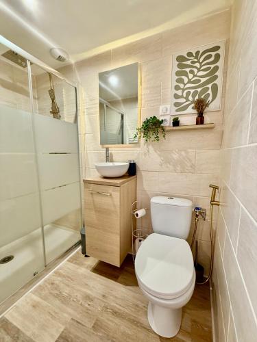 une salle de bain avec toilettes, lavabo et douche dans l'établissement Studio 2 - Cinéma Sport Parking - DABNB, à Limoges