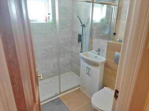 a bathroom with a shower and a toilet and a sink at 4 Bed house 9 adults in Phibblestown