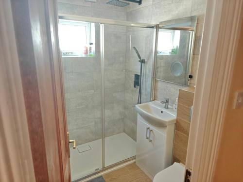 a bathroom with a shower and a toilet and a sink at 4 Bed house 9 adults in Phibblestown